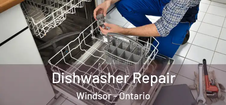 Dishwasher Repair Windsor - Ontario