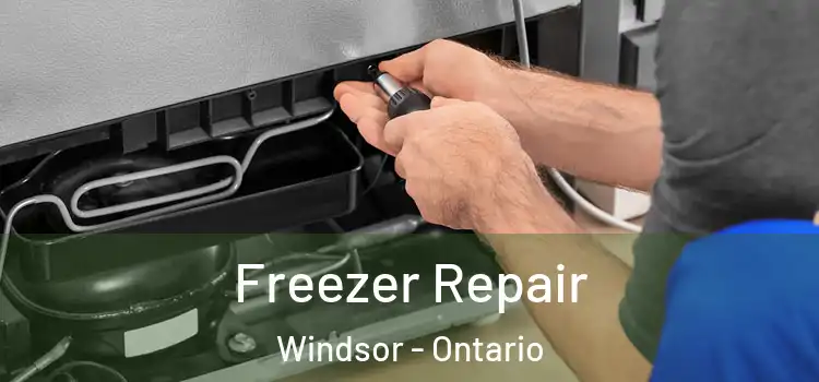 Freezer Repair Windsor - Ontario