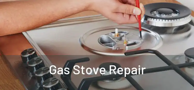 Gas Stove Repair 