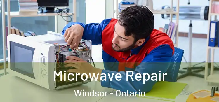 Microwave Repair Windsor - Ontario