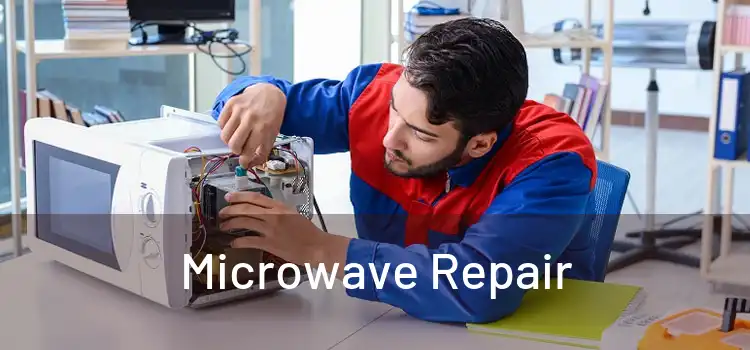 Microwave Repair 
