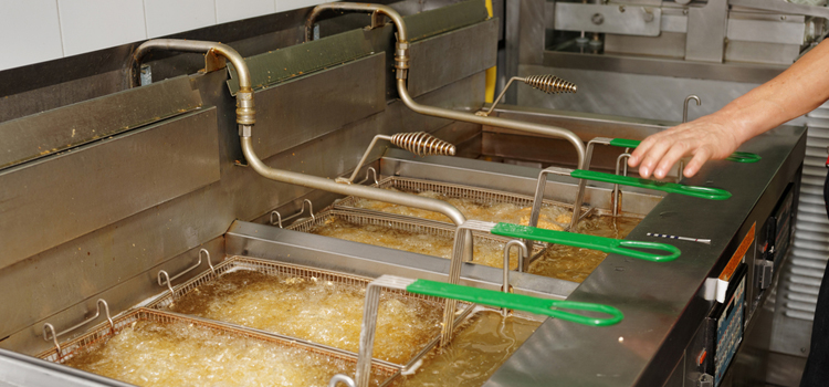 Commercial Fryer Repair in Windsor