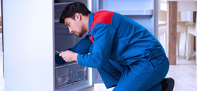 Freezer Repair Services in Windsor